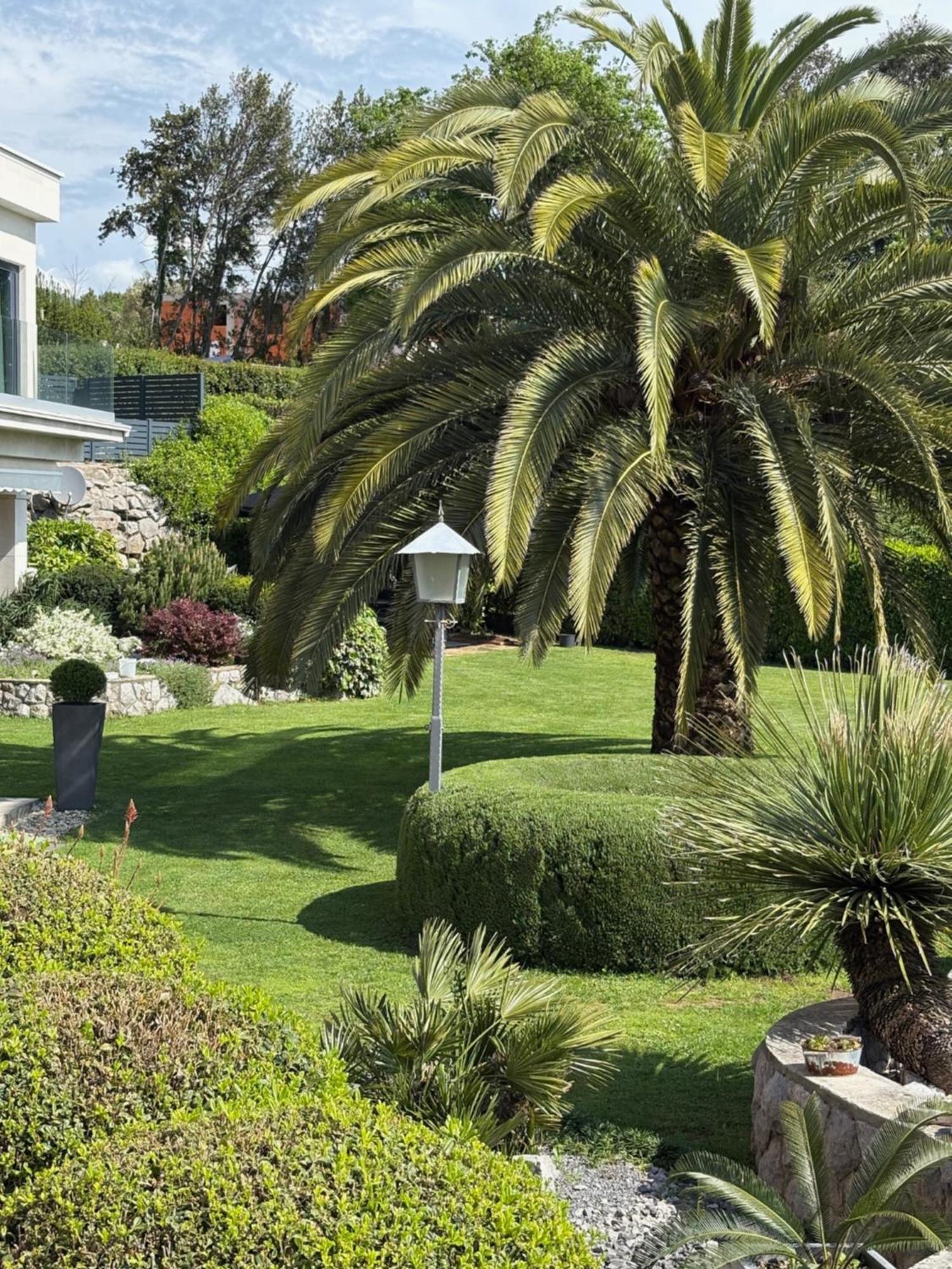 Bed And Breakfast Villa Iris Moscenicka Draga Exterior photo