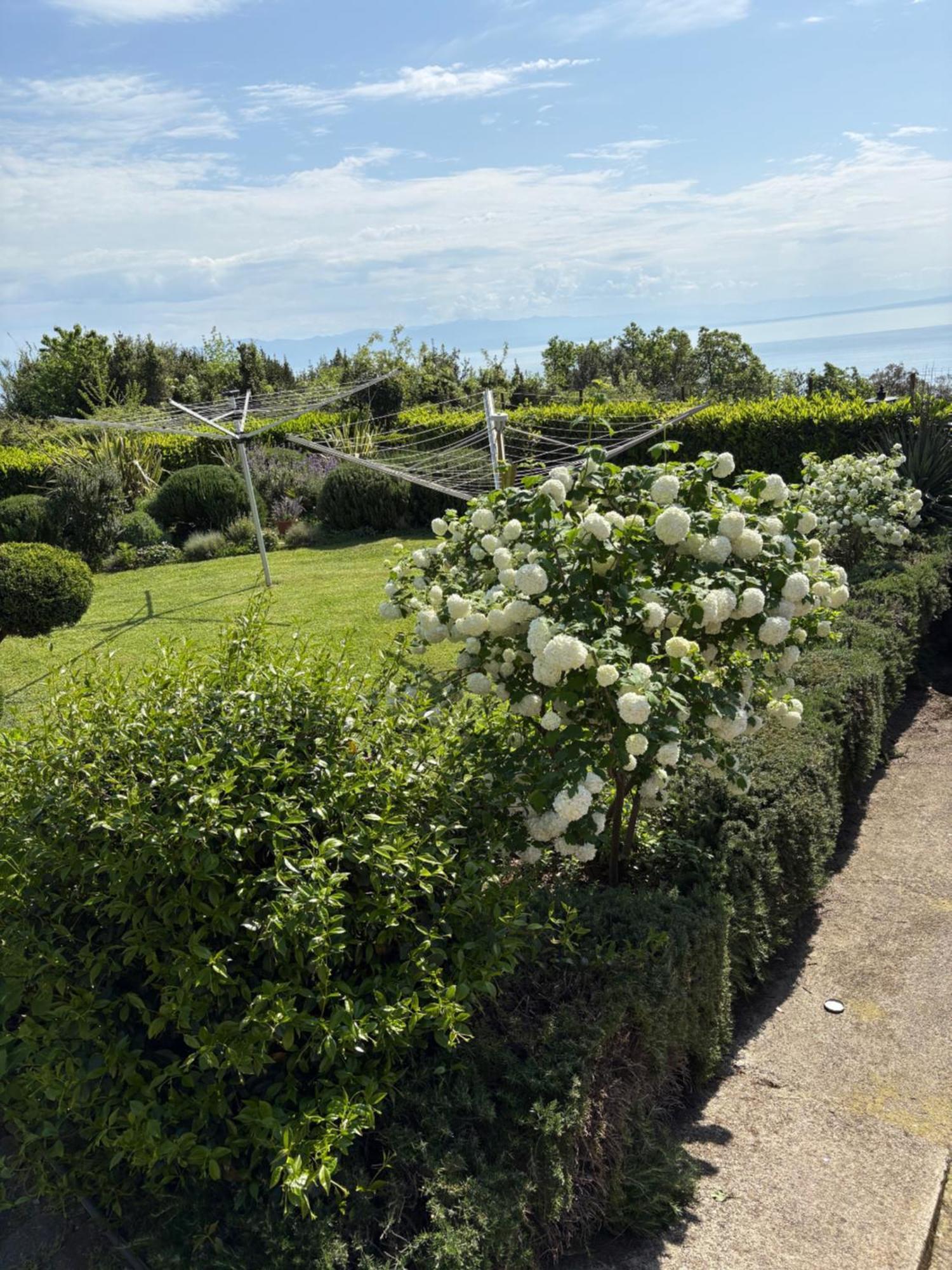 Bed And Breakfast Villa Iris Moscenicka Draga Exterior photo