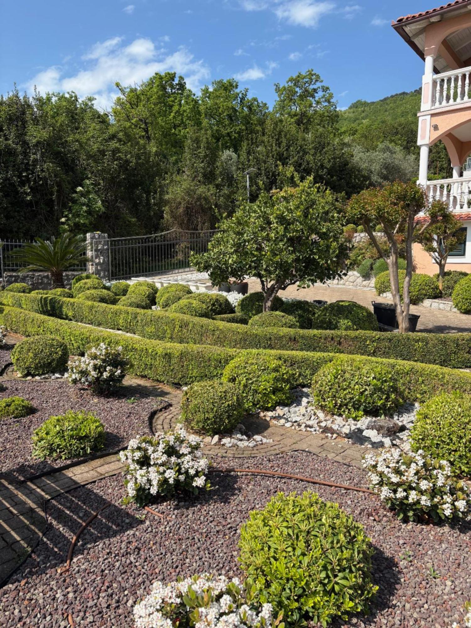 Bed And Breakfast Villa Iris Moscenicka Draga Exterior photo
